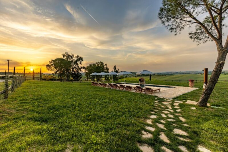 Montalcino: Vineyard Picnic with Rosso di Montalcino Wine - Frequently Asked Questions