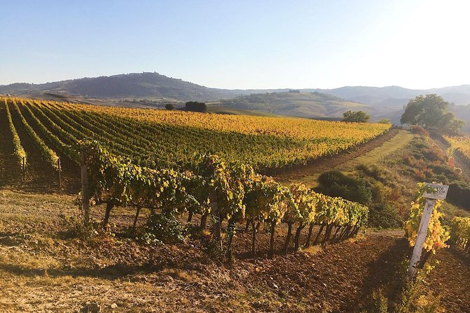 Montalcino wine tour - The Scenic Beauty of Val d’Orcia and Tuscan Hills
