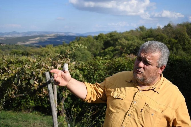 Montalcino wine tour - Meet the Proprietors and Learn Local Traditions