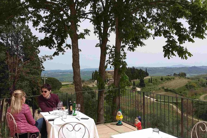 Montalcino wine tour - Physical Requirements and Accessibility