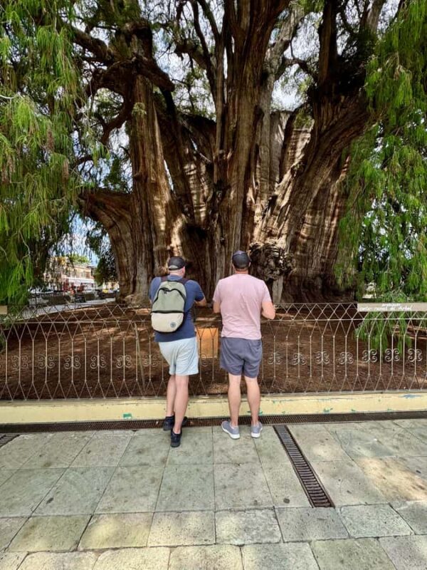 Monte Albán and Mitla Day Tour - What Sets This Tour Apart