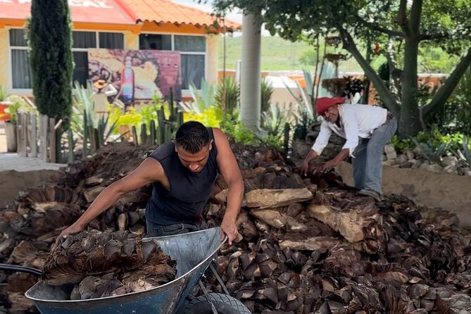 Monte Alban, Mezcal factory, chocolate and artisan houses - Mezcal Tasting at El Rey de Matatlán