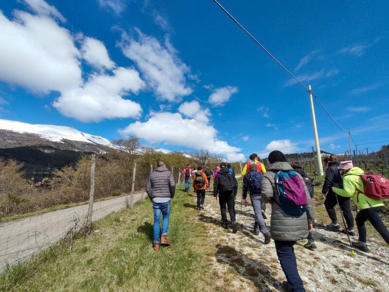 Monte Baldo: Organic Mountain Wines Tour and Tasting - Accessibility and Additional Practical Details