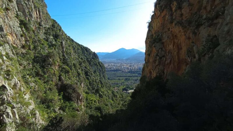 Monte Pellegrino: a full exploration with a true "Naturalist" - Discover the Sacred Mountain of Palermo with a Naturalist Guide