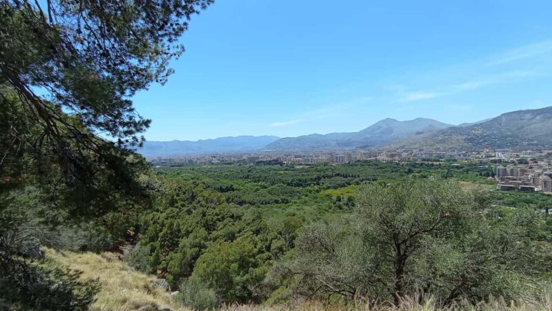 Monte Pellegrino: a full exploration with a true "Naturalist" - Visiting the Viewpoints and Photo Stops on Monte Pellegrino