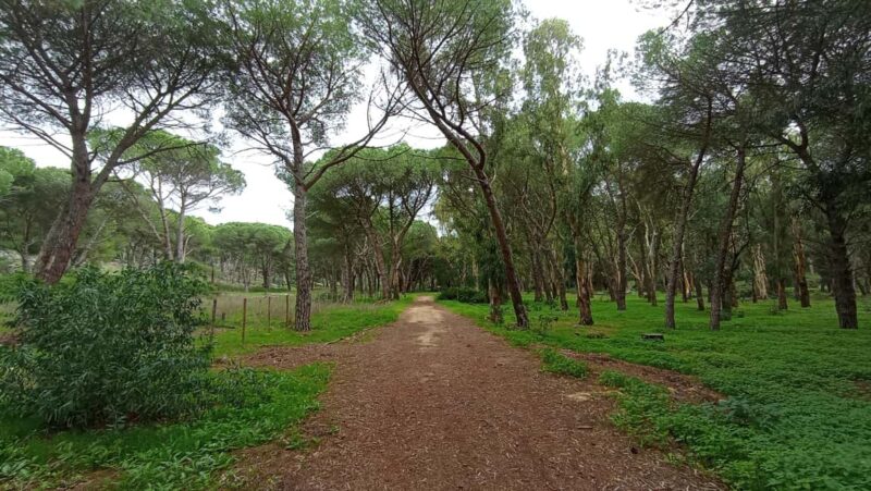 Monte Pellegrino: a full exploration with a true "Naturalist" - Exploring the Santuario di Santa Rosalia