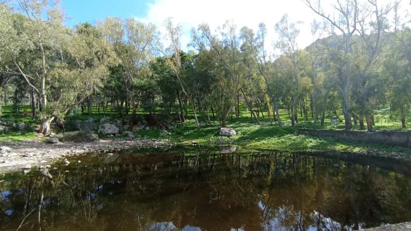 Monte Pellegrino: a full exploration with a true "Naturalist" - Logistics: Meeting, Group Size, and Preparation