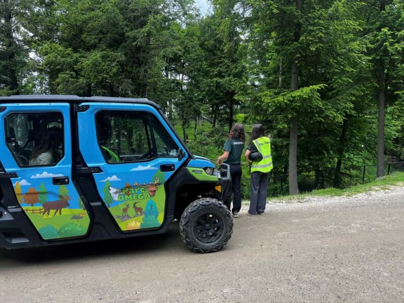 Montebello, QC: Parc Omega Guided Animal Feeding in an All-Terrain Vehicle - Access to Hidden Areas and Exclusive Stops