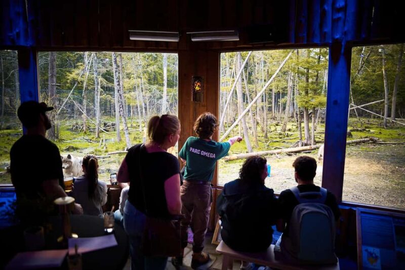Montebello, QC: Parc Omega Wolves Experience with Cocktail & Guide - How the Parc Omega Wolves Experience Begins at the Meeting Point