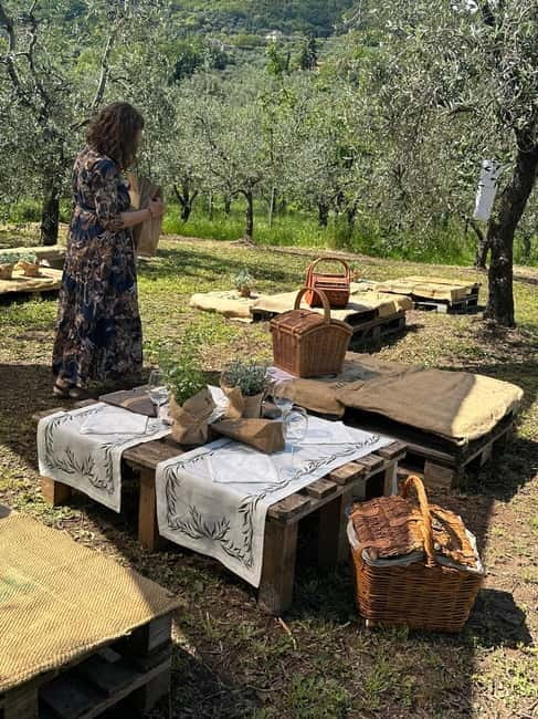Montecatini Alto: Gourmet picnic among olive trees with EVO oil pairing - Authentic Olive Grove Picnic in Tuscany with EVO Oil Pairing
