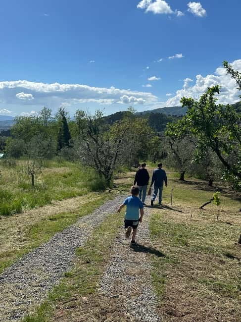 Montecatini Alto: Gourmet picnic among olive trees with EVO oil pairing - Key Points