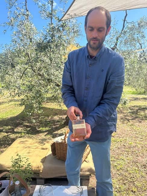 Montecatini Alto: Gourmet picnic among olive trees with EVO oil pairing - Exploring the Olive Groves and Pruning Techniques