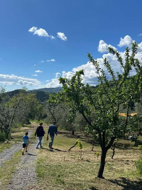 Montecatini Alto: Gourmet picnic among olive trees with EVO oil pairing - What Sets This Tour Apart from Other Olive Oil Experiences