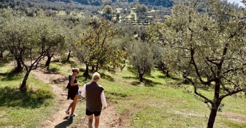 Montecatini Terme: Olive Grove Tour with Oil Tasting - The Knowledge and Charisma of Guides: Lucca and Nickoli