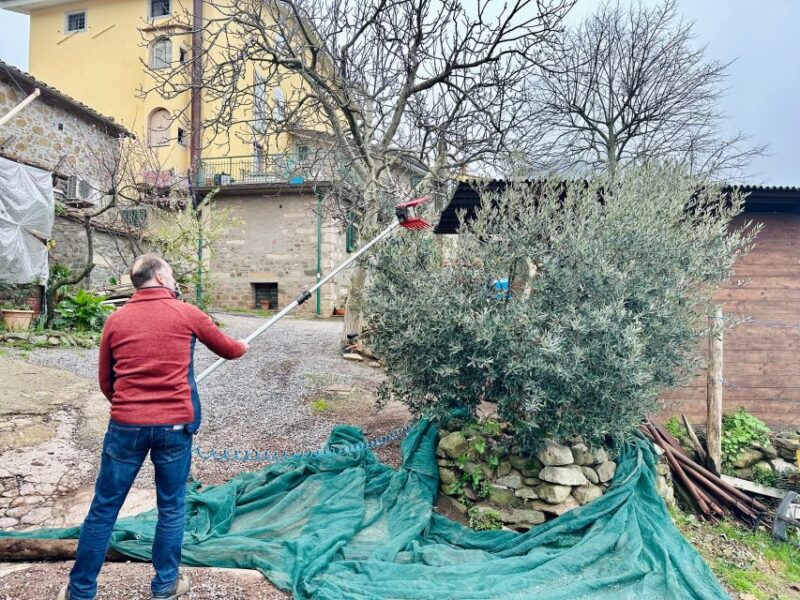 Montecatini Terme: Olive Grove Tour with Oil Tasting - Practical Tips: What to Bring and How to Prepare