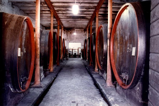 Montefalco: Historic cellar and vineyard tour with wine tasting - Key Points