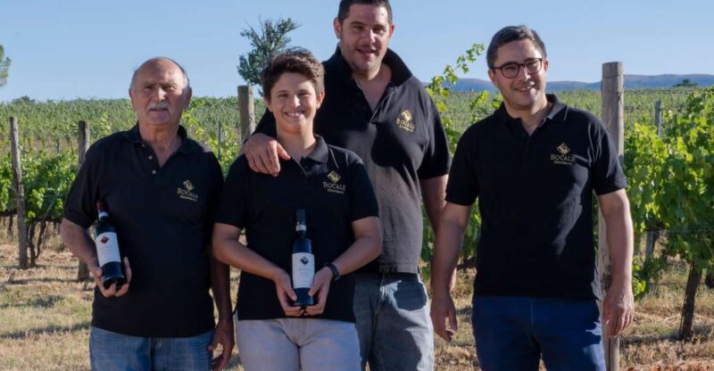 Montefalco: Winery and Vineyard Tour and Private Tasting - Exploring the Montefalco Winery and Vineyard Tour