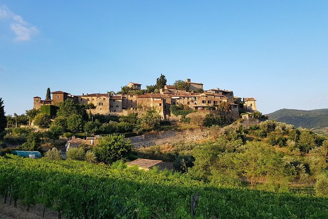 Montefioralle Winery - Tour and Wine Tasting in Chianti - Booking and Cancellation Policy