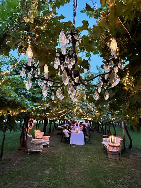 Montello: Wine, Cheese, and Honey Tasting at the Farm - Introduction to Montello: Wine, Cheese, and Honey Tasting at the Farm