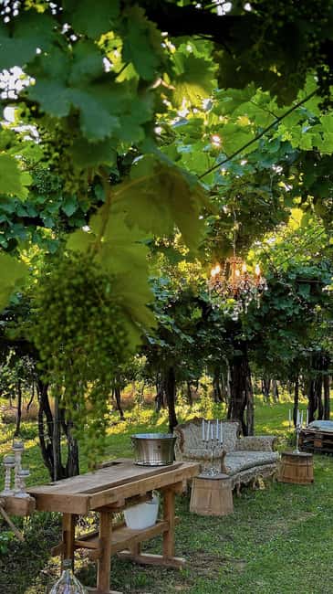 Montello: Wine, Cheese, and Honey Tasting at the Farm - Exploring the Ancient Vineyards and the Bellussera