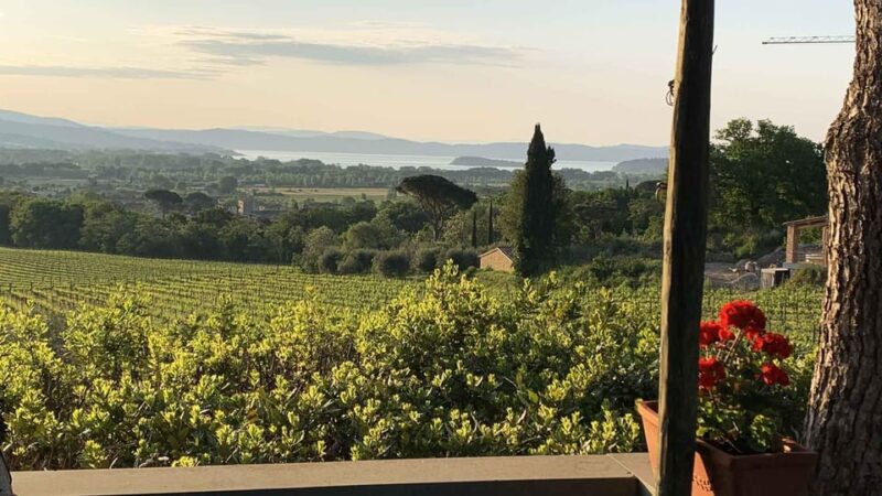 MONTEMELINO RARE WINES SELECTION - Exploring Montemelino’s Organic Vineyards and Winery