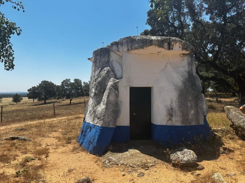 Montemor-o-Novo or Évora: One-Day Tour of Megaliths - Key Points