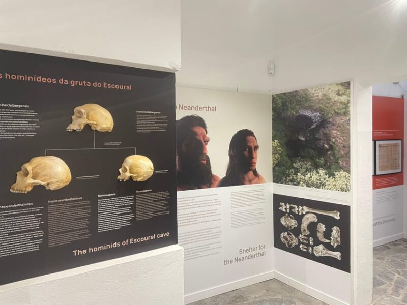 Montemor-o-Novo or Évora: One-Day Tour of Megaliths - Exploring the Escoural Caves and Prehistoric Art