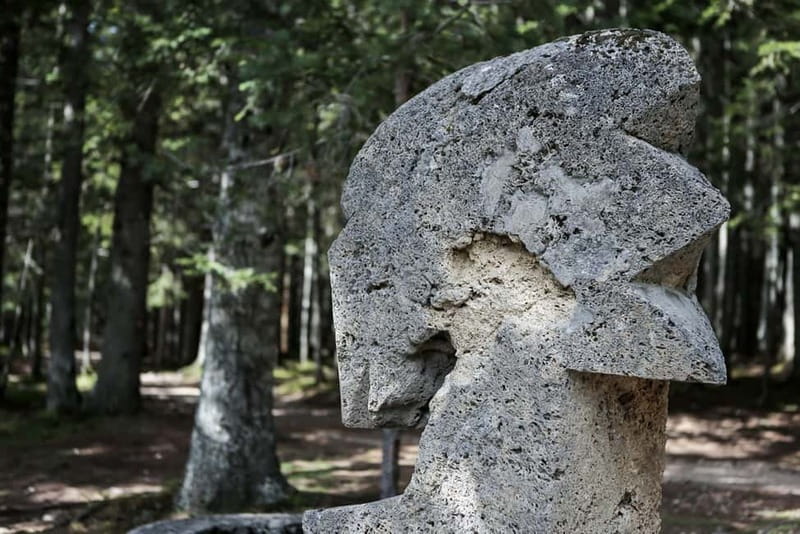 Montenegro: Durmitor, Tara & Ostrog Monastery Day Trip - Final Thoughts on the Montenegro: Durmitor, Tara & Ostrog Monastery Day Trip