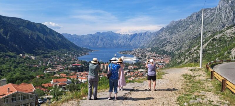 Montenegro Full-Day Trip from Dubrovnik - Physical Requirements and Accessibility