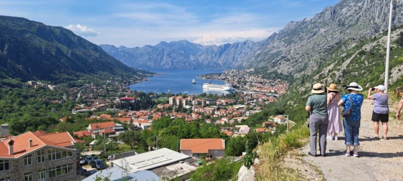Montenegro Full-Day Trip from Dubrovnik - Who Will Enjoy This Tour the Most?
