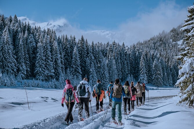 Montenegro Snowshoeing Durmitor - Experience the Beauty of Montenegro’s Durmitor Range on Snowshoes