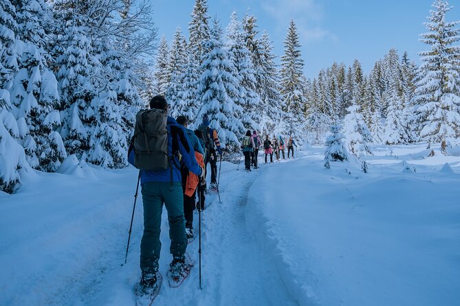 Montenegro Snowshoeing Durmitor - Key Points