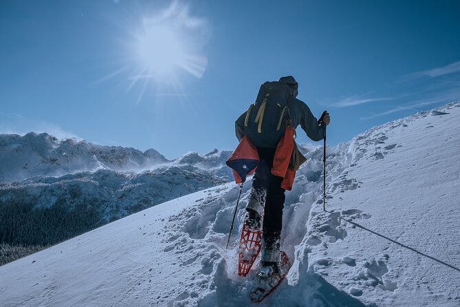 Montenegro Snowshoeing Durmitor - Group Size and Tour Atmosphere