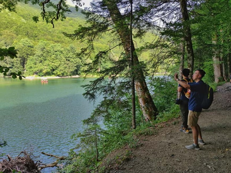 Montenegro Tour by train Private tour - Discovering Montenegro’s First National Park: Biogradska Gora