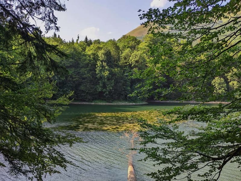 Montenegro Tour by train Private tour - Walking Tour of Biogradsko Lake