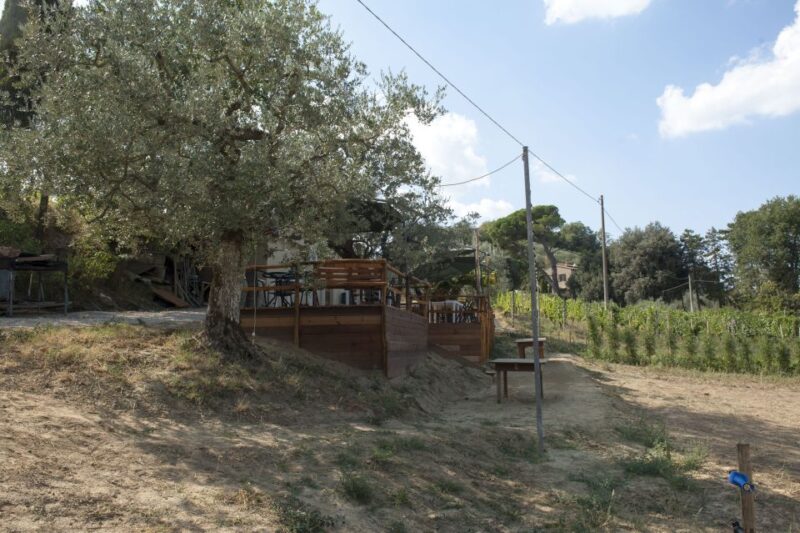 Montepulciano: Cinta Senese Tour With Food Tasting - Final Thoughts on the Cinta Senese Tour in Montepulciano