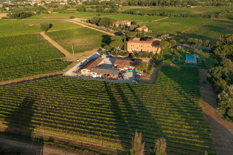 Montepulciano: Guided Winery Tour with Tasting & Appetizers - Key Points