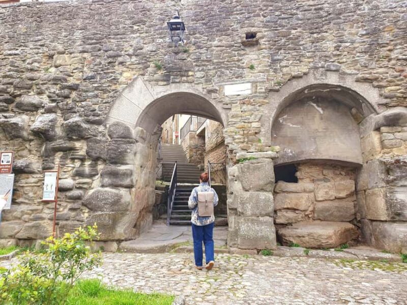 Montepulciano, Montalcino, Cortona - Small Group Day Trip - Exploring Montalcino: The Fortress and World-Class Brunello