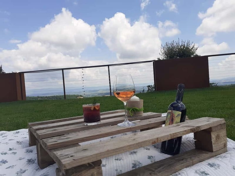 MONTEPULCIANO - PIC NIC WITH WINE! SURROUNDED BY VINEYARDS - Discover the Charm of Montepulciano with a Picnic and Wine Tour