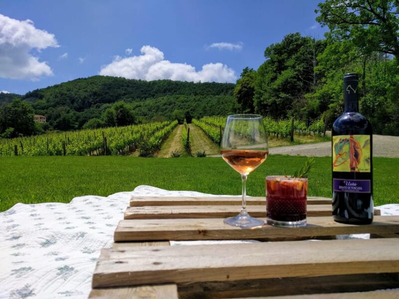 MONTEPULCIANO - PIC NIC WITH WINE! SURROUNDED BY VINEYARDS - The Picnic Setting with Stunning Vineyard Views