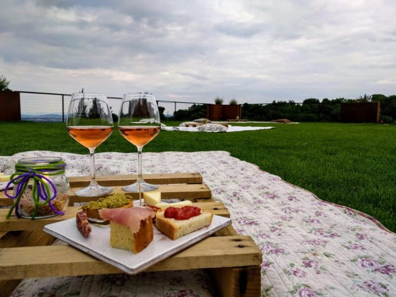 MONTEPULCIANO - PIC NIC WITH WINE! SURROUNDED BY VINEYARDS - The Scenic Vineyard and Cellar Tour Experience