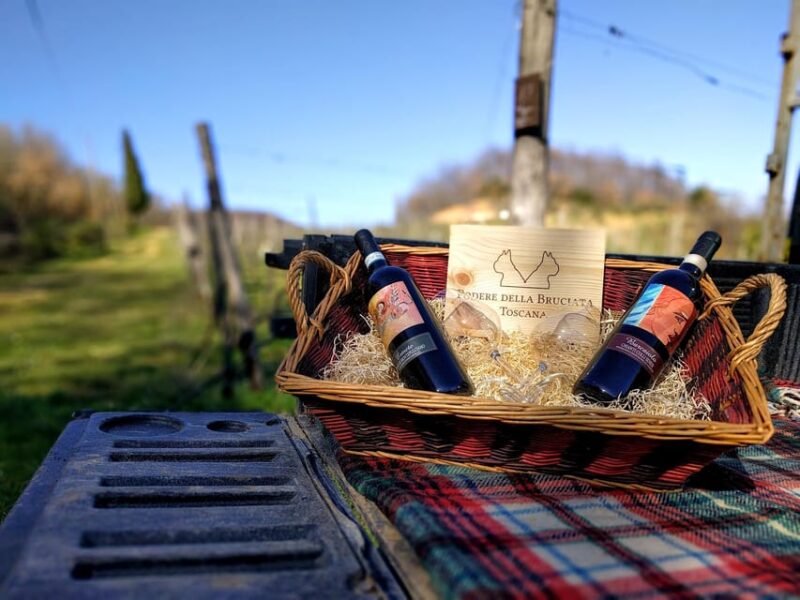 MONTEPULCIANO - PIC NIC WITH WINE! SURROUNDED BY VINEYARDS - The Atmosphere: Romance and Relaxation in Tuscany