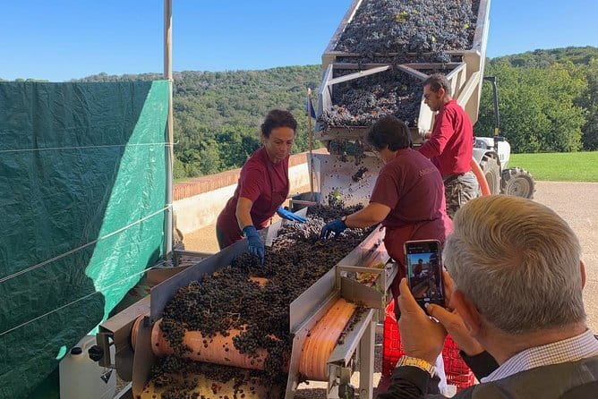 Montepulciano Pienza Montalcino Tour from Florence - Key Points