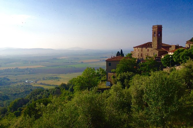 Montepulciano Pienza Montalcino Tour from Siena - Logistics and Comfort of Transportation