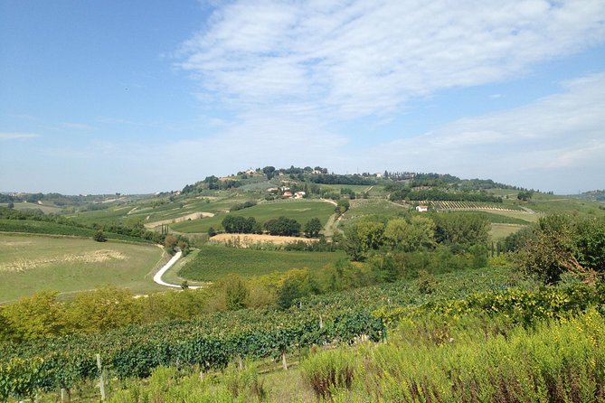 Montepulciano Pienza Montalcino Tour from Siena - Food and Wine Tasting Options