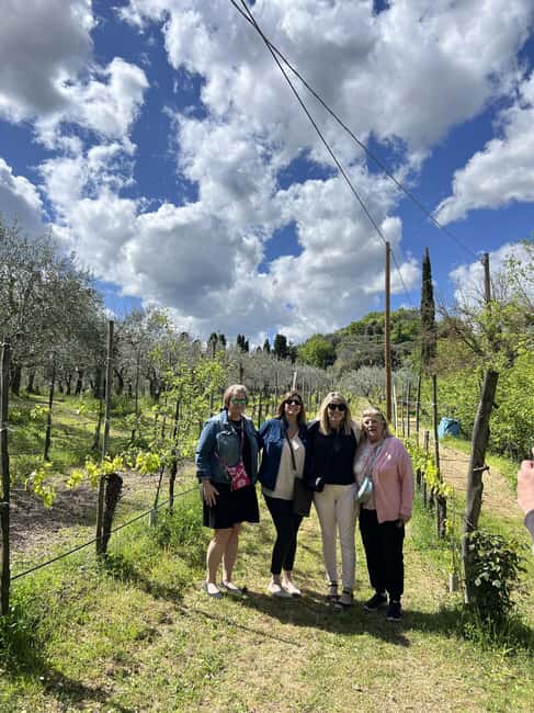 Montepulciano: Pig Farm Tour with Traditional Lunch - Exploring Olive Groves with Panoramic Views