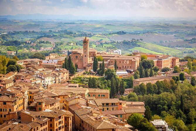 Montepulciano Wine & Pienza Flavors Private Day Tour from Tuscany - Wine Tasting and Lunch in Montepulciano
