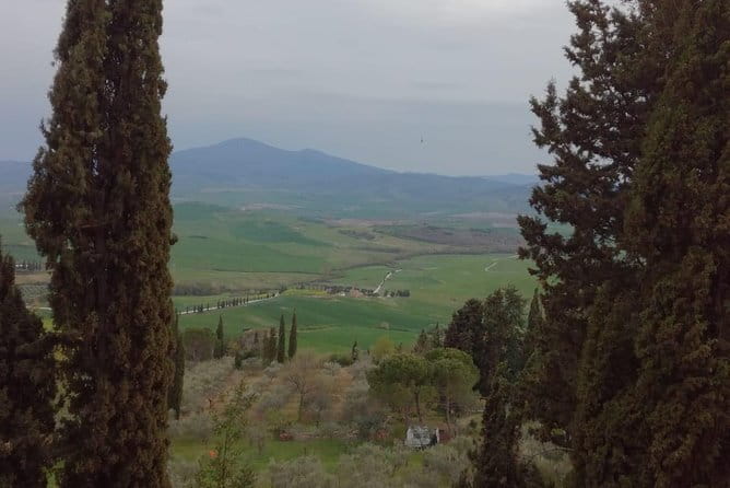 Montepulciano Wine & Pienza Flavors Private Day Tour from Tuscany - Practical Details: Transportation and Group Size