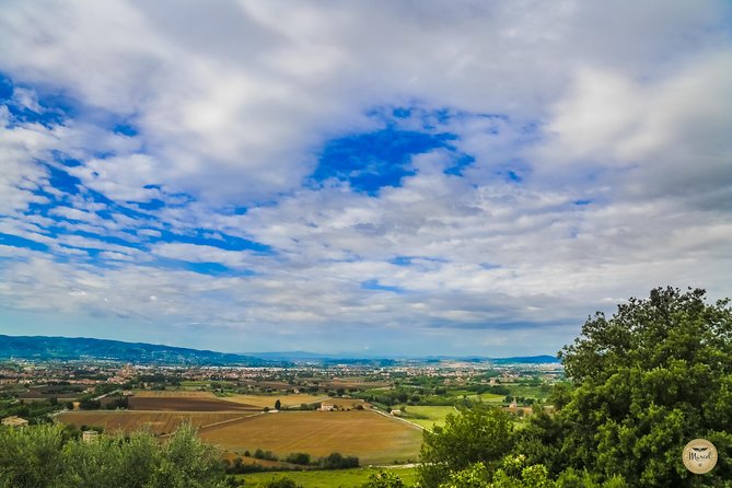 Montepulciano Wine Tasting and Assisi Private Day Tour from Rome - Exploring Assisis Sacred Architecture and Art