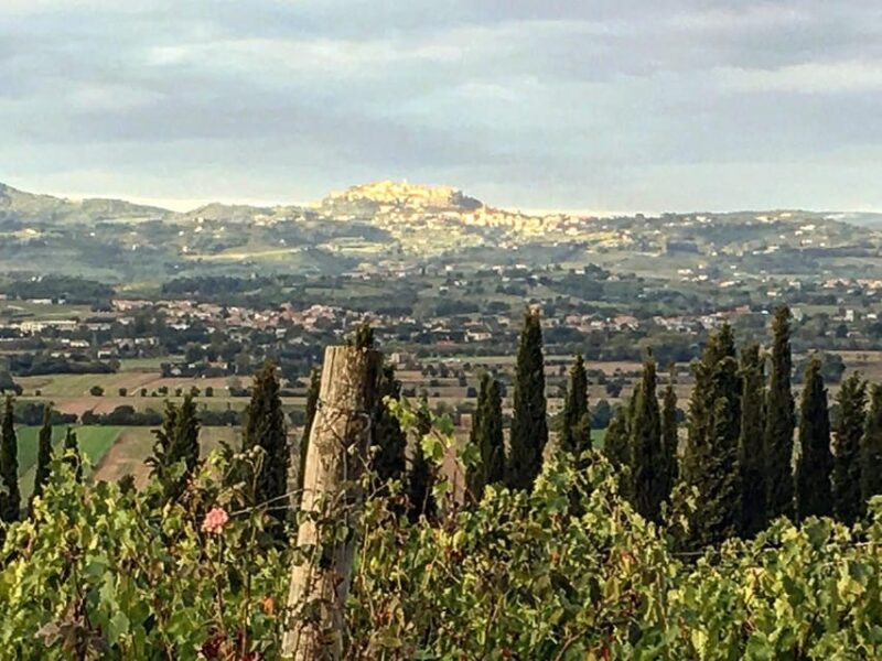 Montepulciano: Wine Tour and tasting - Montepulciano: Wine Tour and Tasting – A Deep Dive into Tuscan Winemaking